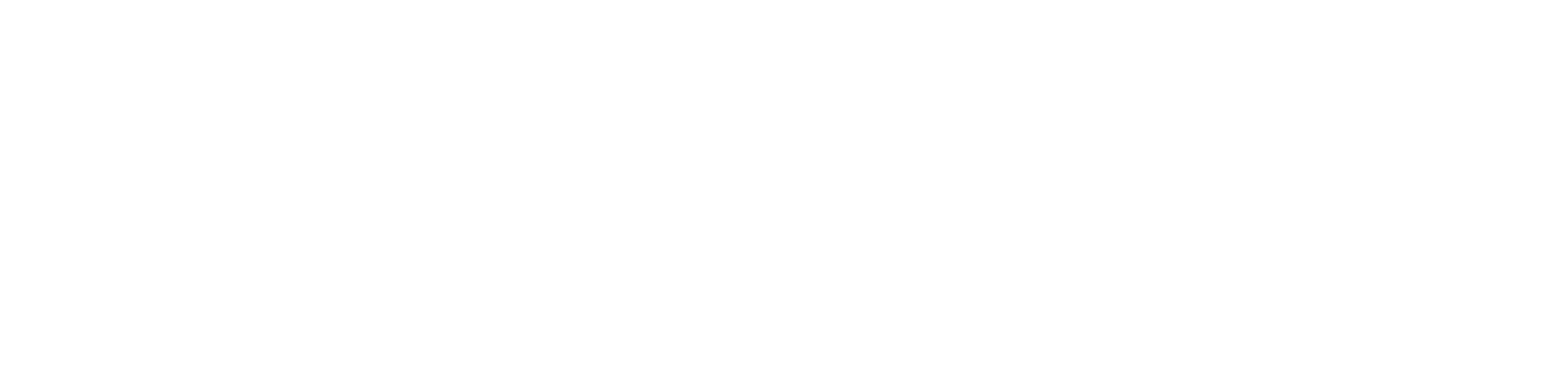 Full Logo — Horizontal — white variant on dark