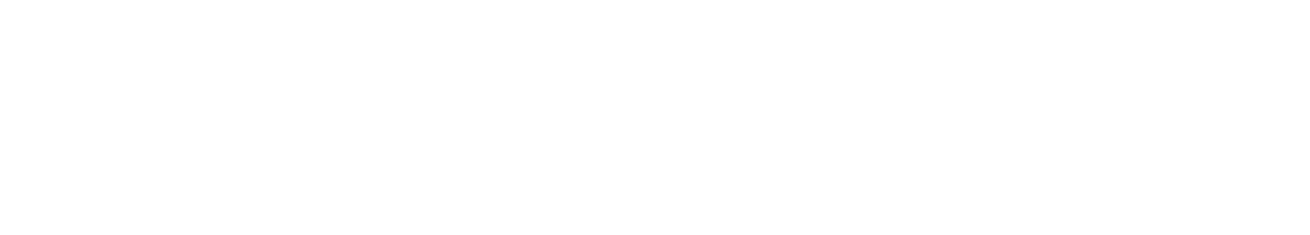 Full Logo — Horizontal (Flat) — white variant on dark