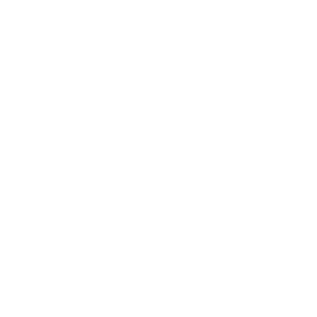 Logomark — white variant on dark
